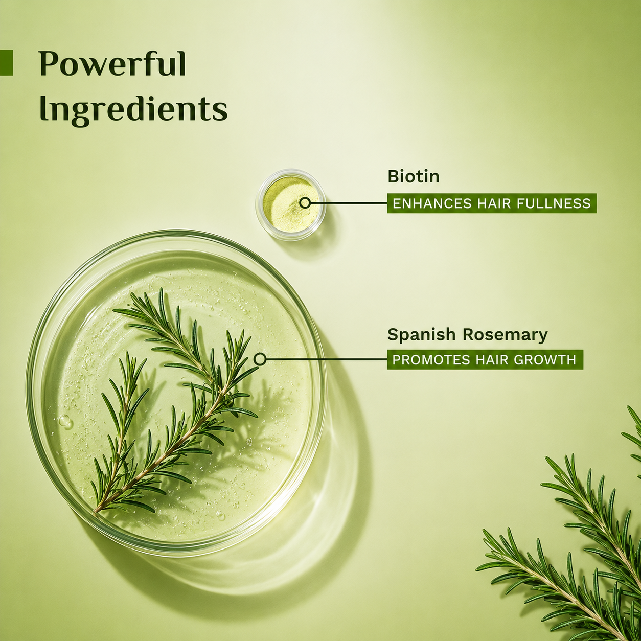Spanish Rosemary & Biotin Anti-Hairfall Hair Mask